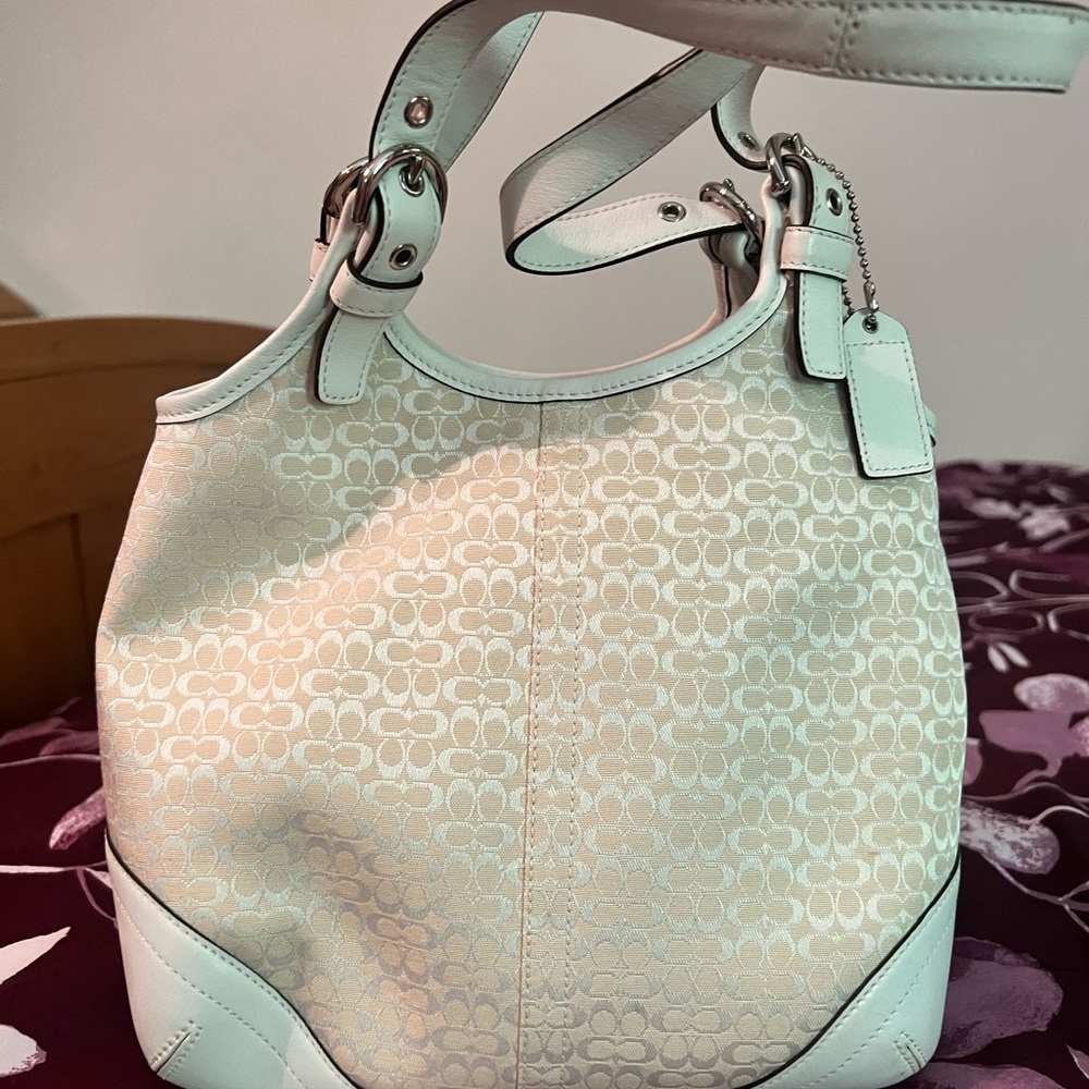 Coach bucket purse
